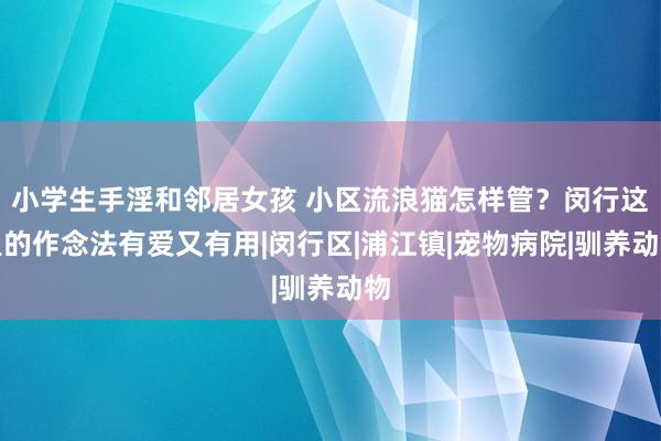 小学生手淫和邻居女孩 小区流浪猫怎样管？闵行这里的作念法有爱又有用|闵行区|浦江镇|宠物病院|驯养动物