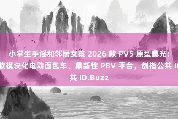 小学生手淫和邻居女孩 2026 款 PV5 原型曝光：起亚首款模块化电动面包车、鼎新性 PBV 平台，剑指公共 ID.Buzz