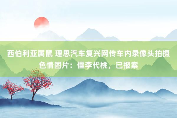 西伯利亚属鼠 理思汽车复兴网传车内录像头拍摄色情图片：僵李代桃，已报案