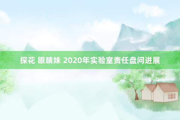 探花 眼睛妹 2020年实验室责任盘问进展