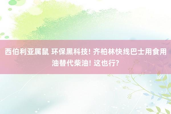 西伯利亚属鼠 环保黑科技! 齐柏林快线巴士用食用油替代柴油! 这也行?