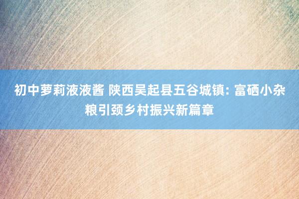 初中萝莉液液酱 陕西吴起县五谷城镇: 富硒小杂粮引颈乡村振兴新篇章