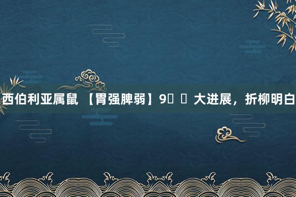 西伯利亚属鼠 【胃强脾弱】9️⃣大进展，折柳明白
