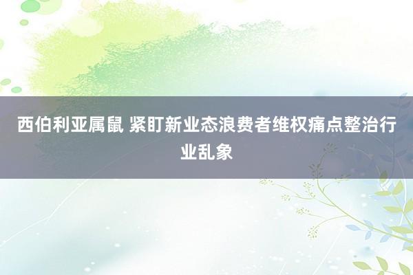 西伯利亚属鼠 紧盯新业态浪费者维权痛点整治行业乱象