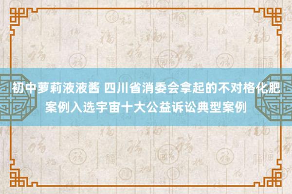 初中萝莉液液酱 四川省消委会拿起的不对格化肥案例入选宇宙十大公益诉讼典型案例