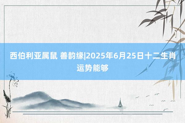 西伯利亚属鼠 善韵缘|2025年6月25日十二生肖运势能够